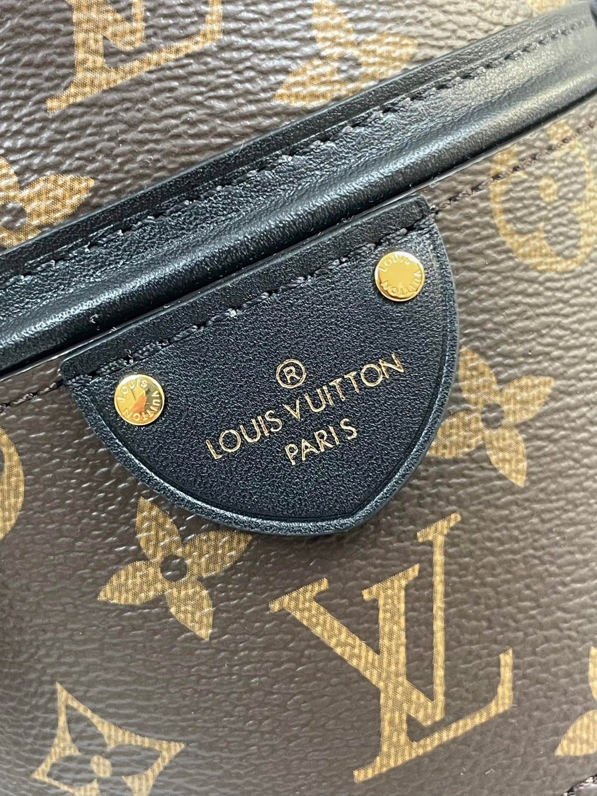 CANOÉ 20 IN BROWN MONOGRAM CANVAS GOLD HARDWARE